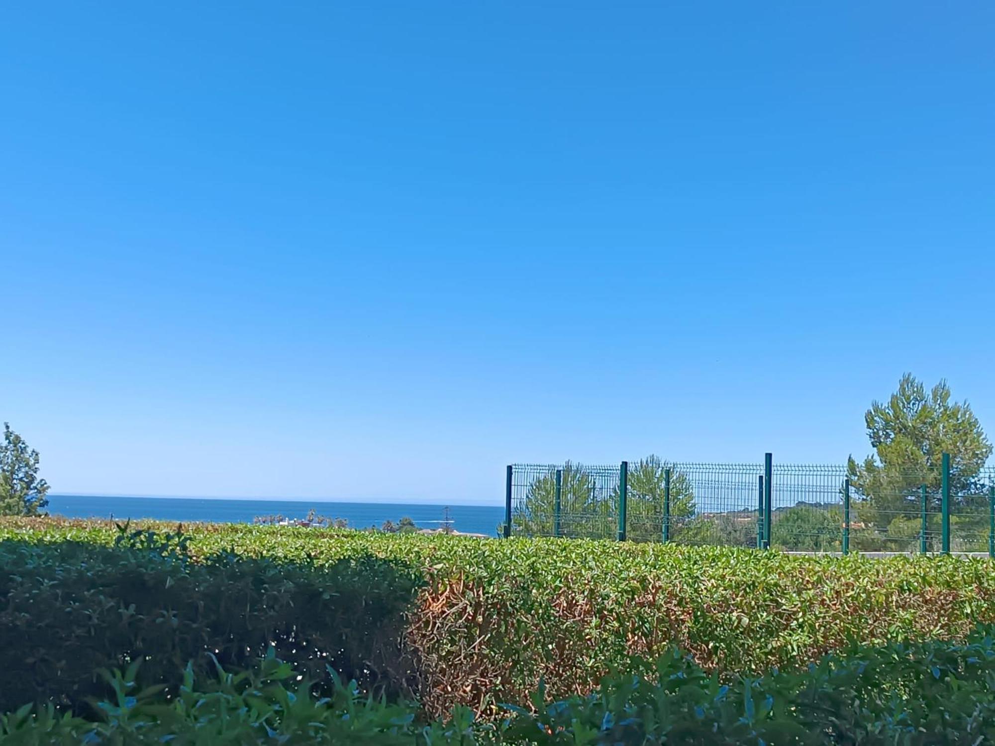 Mar A Vista Rocha Beach Summer 波尔蒂芒 外观 照片